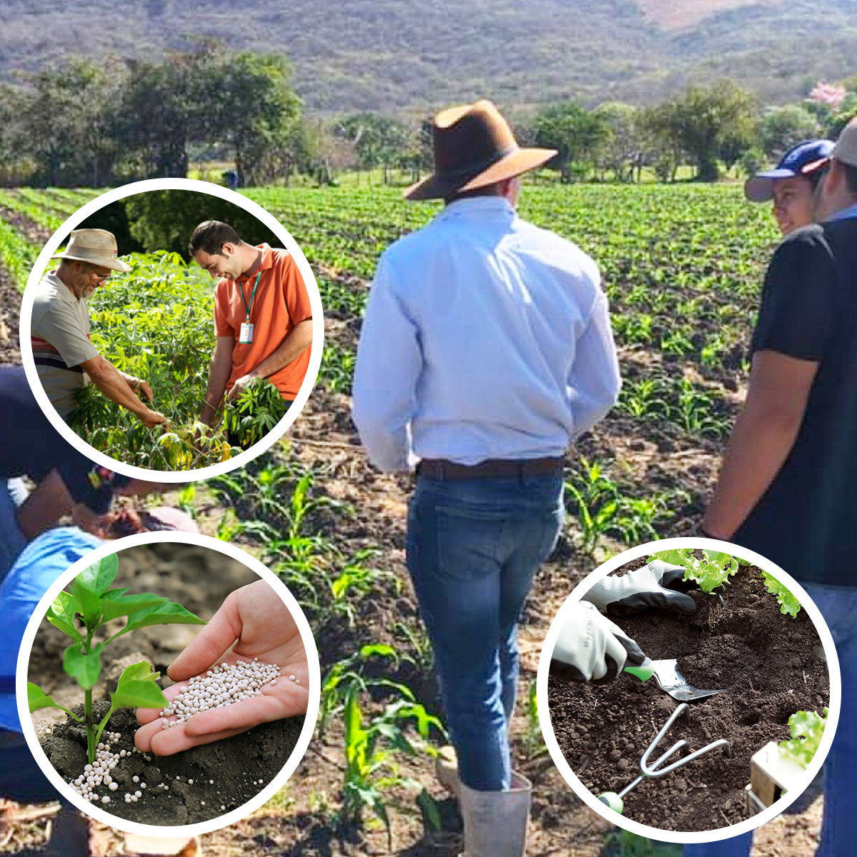 Clarico-3 Columns Style 2