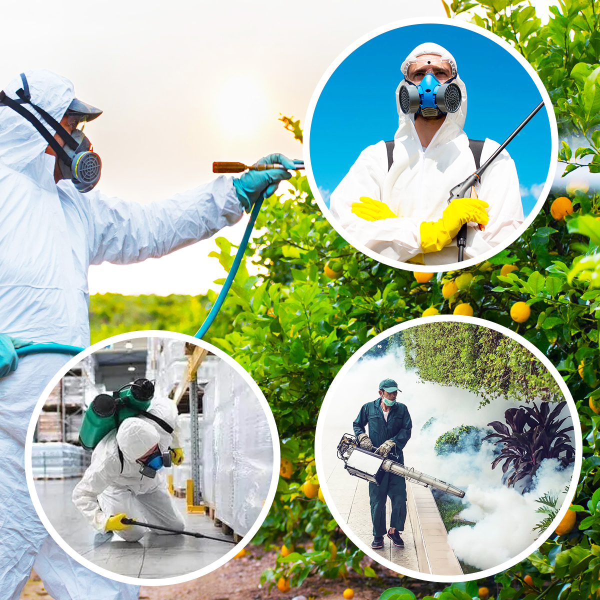 Clarico-3 Columns Style 2