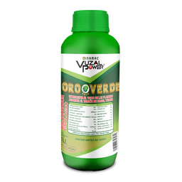 [19.02.30.02.01] VUZAL POWER - ORO VERDE HOJA - 1LT