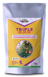 [19.01.02.01.01] VUZAL POWER - TRIPLE 20-20-20 - 1KG