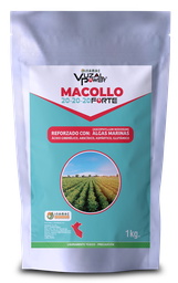 [19.01.02.02.01] VUZAL POWER - MACOLLO 20-20-20 FORTE - 1KG
