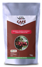[19.01.05.02.01] VUZAL POWER - CAFE-FORTE - 1KG