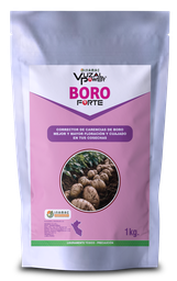[19.01.06.01.01] VUZAL POWER - BORO-FORTE - 1KG