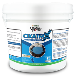 [19.01.08.01.01] VUZAL POWER - CICATRIX - 1KG