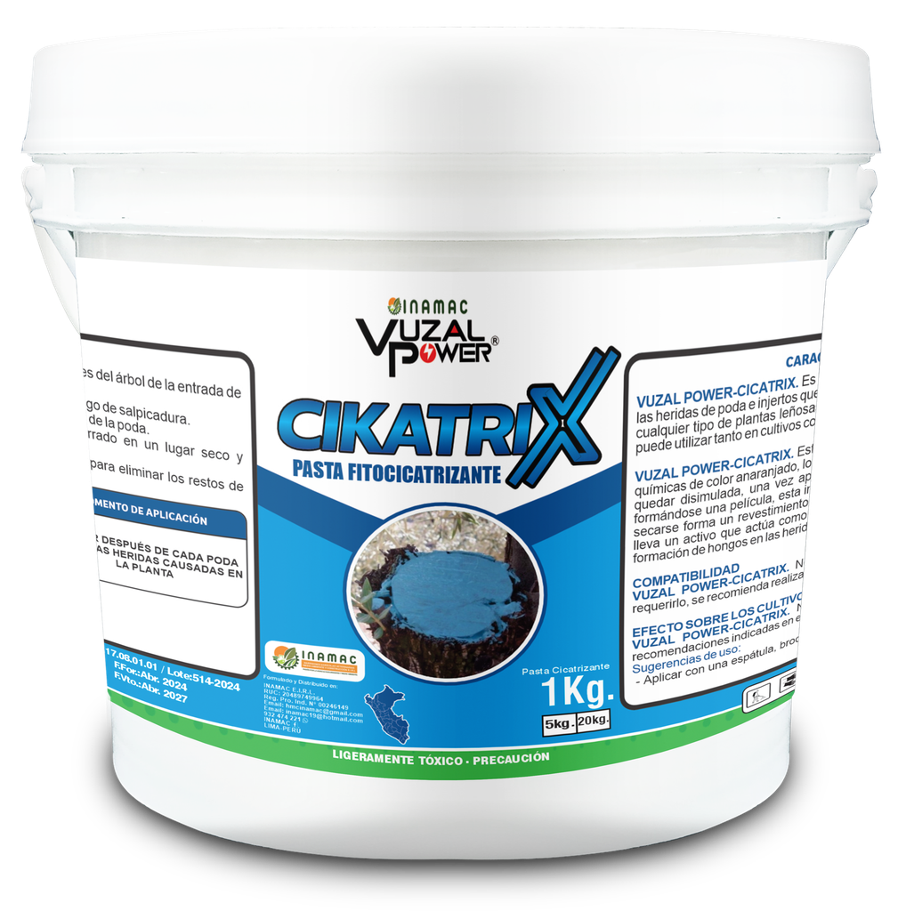 VUZAL POWER - CICATRIX - 1KG