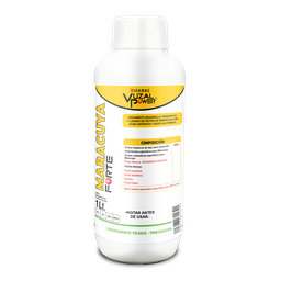 [19.02.06.16.01] VUZAL POWER - MARACUYA FORTE - 1LT
