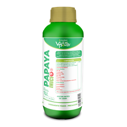 [19.02.06.20.01] VUZAL POWER - PAPAYA INICIO - 1LT