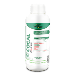 [19.02.06.27.01] VUZAL POWER - COCAL FORTE - 1LT