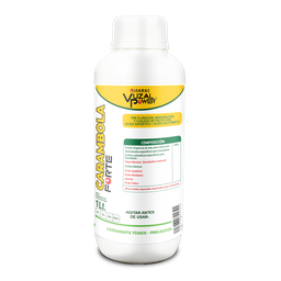 [19.02.06.29.01] VUZAL POWER - CARAMBOLA FORTE - 1LT