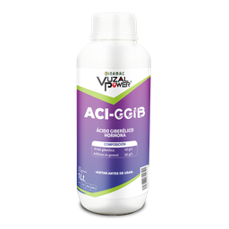 [19.02.16.01.01] VUZAL POWER - ACI-GGIB - 1LT