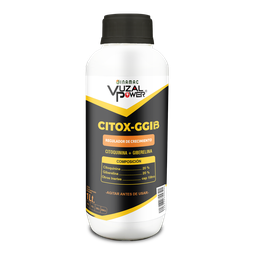 [19.02.16.02.01] VUZAL POWER - CITOX-GGIB - 1LT