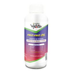 [19.02.19.01.01] VUZAL POWER - FRUT-FRUT-PK - 1LT