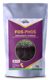 [19.01.03.01.01] VUZAL POWER - FOS-PHOS - 1KG