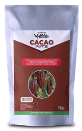 [19.01.05.04.01] VUZAL POWER - CACAO-FORTE - 1KG